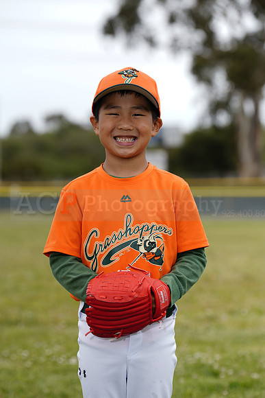 TBGrasshoppers00115