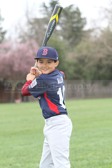 AAARedsox044