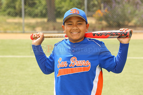 SB_BR_Mets00039