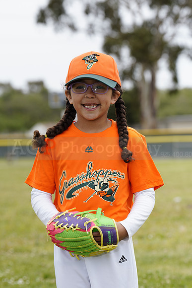 TBGrasshoppers00012