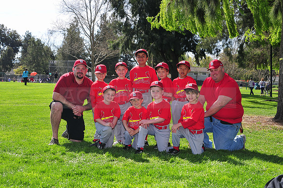 TBCardinals034