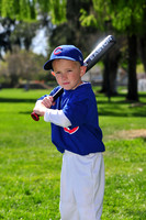 FMCubs007