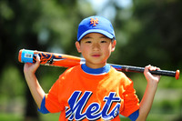Farm_Mets015