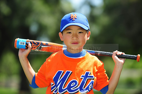 Farm_Mets015