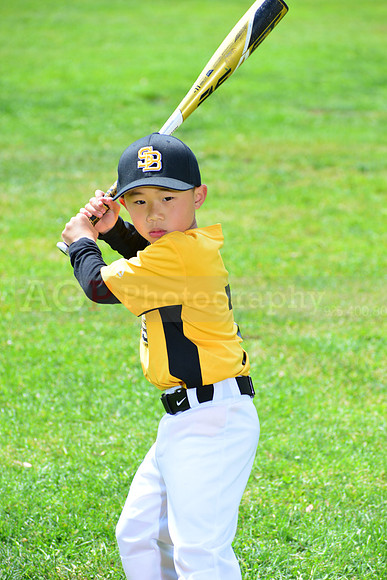 SB_PW_Pirates00041