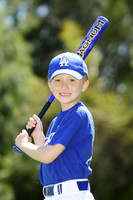 FarmDodgers024