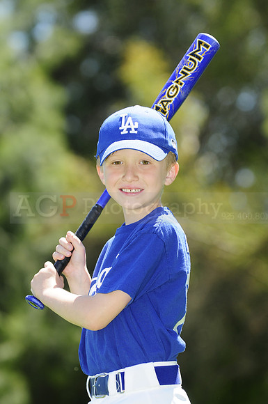 FarmDodgers024