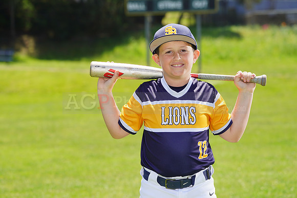 SB_PW_Lions007