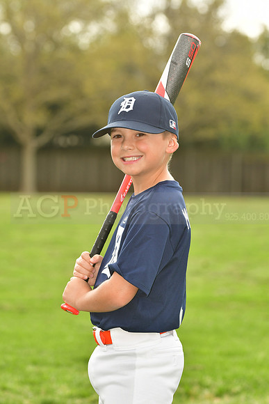 AATigers033
