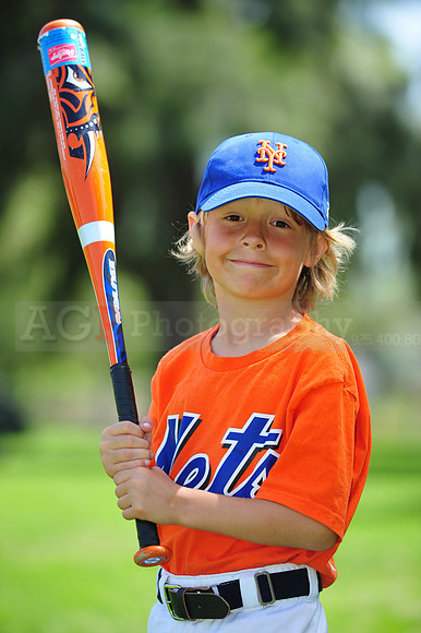 Farm_Mets093