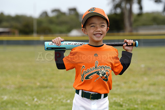 TBGrasshoppers00032