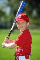 2012 AA Cardinals