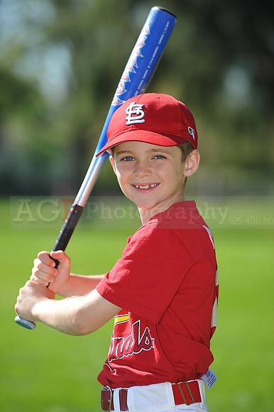 AA_Cardinals006