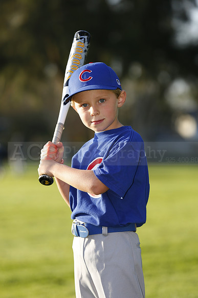 FarmCubs053