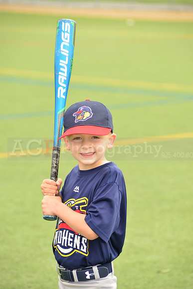 SB_TB_mudhens00036
