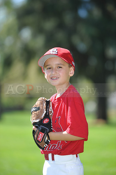 AA_Cardinals081