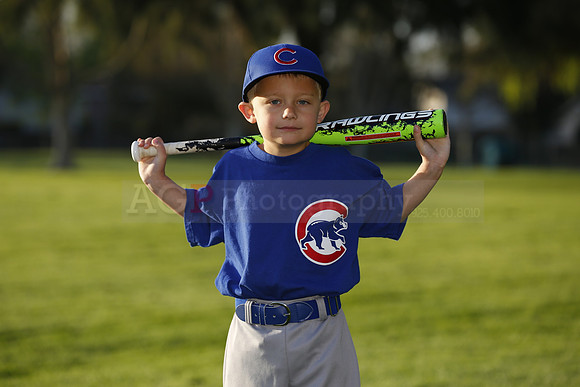 FarmCubs046