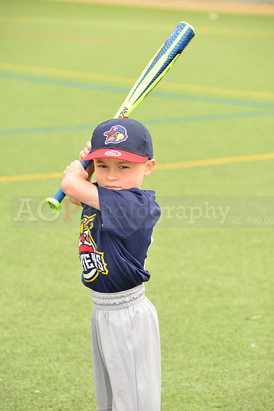 SB_TB_mudhens00072