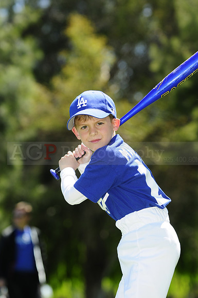 FarmDodgers071