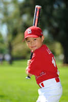 AA_Cardinals021