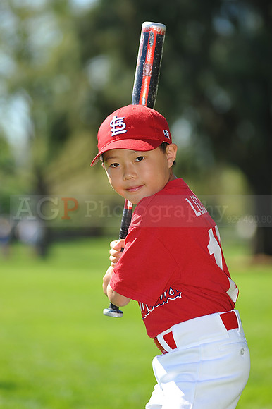 AA_Cardinals021