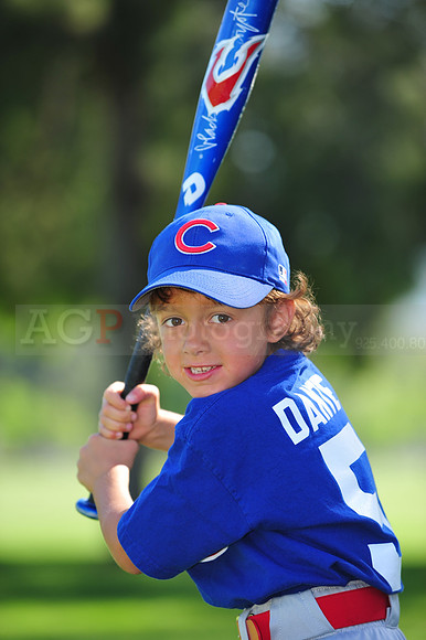 Farm_Cubs085