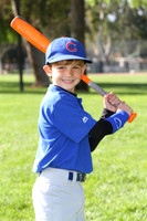 ACubs006