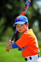Farm_Mets012
