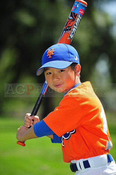 Farm_Mets012