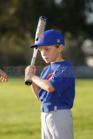 FarmCubs051