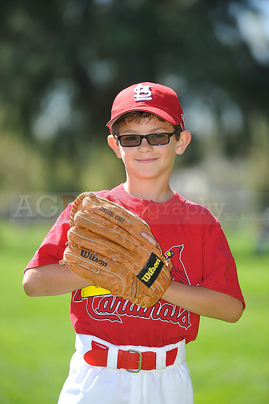 A_Cardinals035
