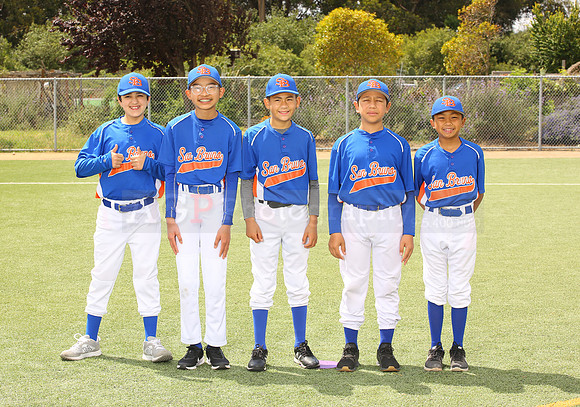 SB_BR_Mets00030