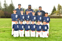 AA TIGERS