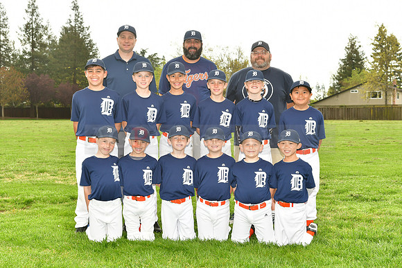 AATigers075