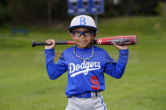 PWDodgers00096