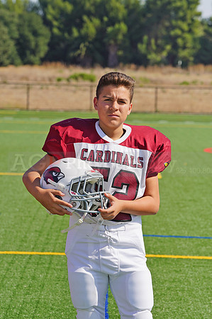 cardinals00065