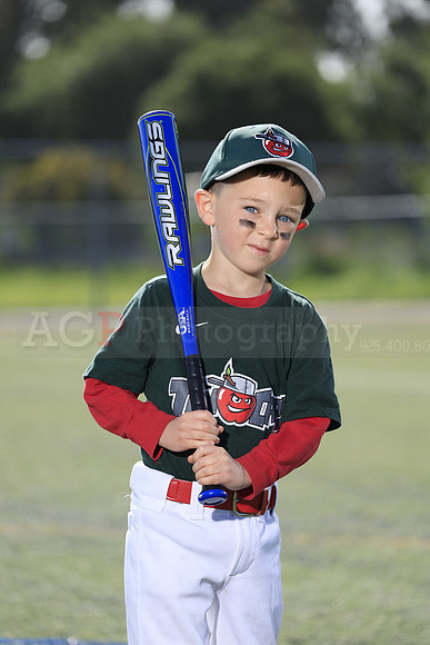 SB_TB_TinCaps035