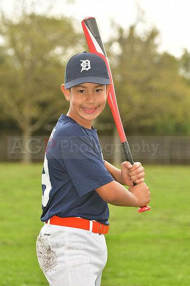 AATigers045