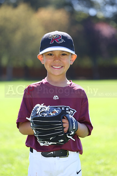 TBTimberRattlers020