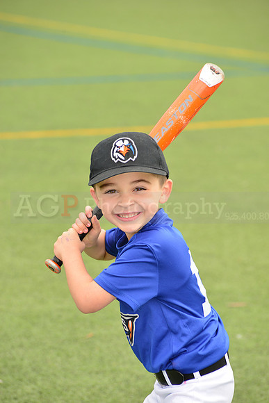 SB_TB_Ironbirds00058