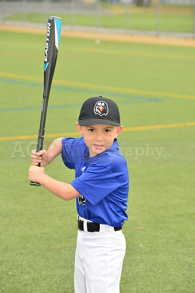 SB_TB_Ironbirds00044