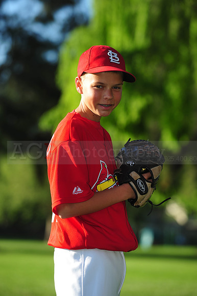 MajorCardinals008