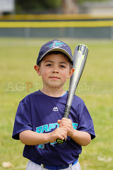 AGP09207