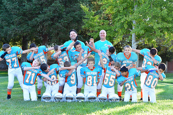 Dolphins124