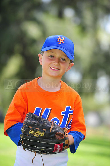 Farm_Mets104
