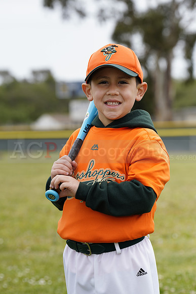 TBGrasshoppers00007