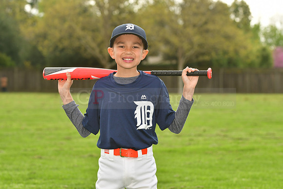 AATigers018