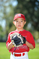 AA_Cardinals017