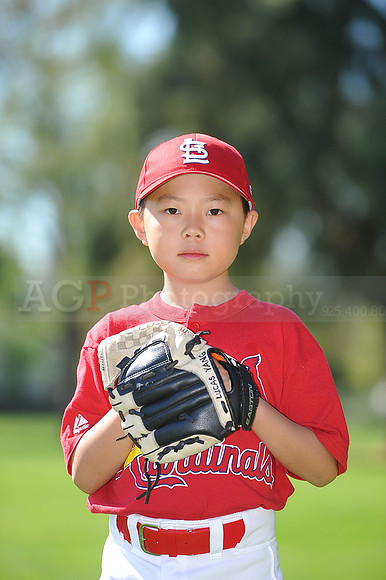 AA_Cardinals017