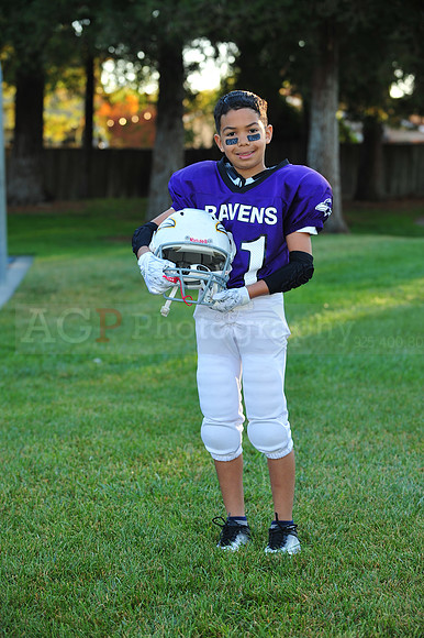 Ravens045